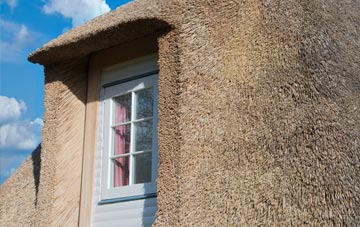 Duckhole thatch roof disadvantages
