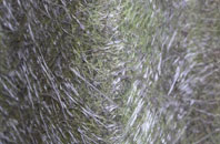 Duckhole fibreglass roof work